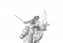 अमर सिंह राठोड़