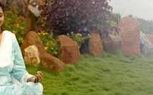 तेरी शरण में जो गया…